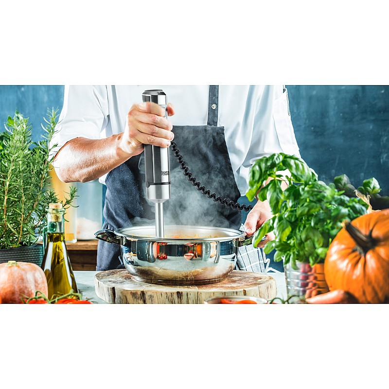 Σετ μπλέντερ χειρός 1200W