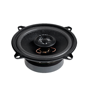 Ηχείο 5"/2WAY/100W WS-1312TW
