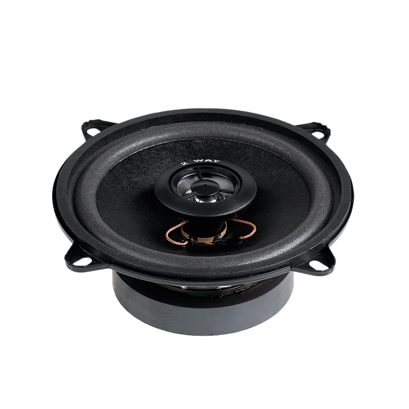 Ηχείο 5"/2WAY/100W WS-1312TW