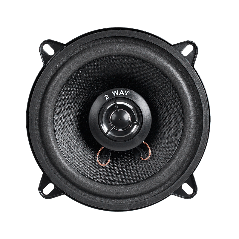 Ηχείο 5"/2WAY/100W WS-1312TW