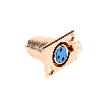 Χρυσή γυναικεία υποδοχή μικροφώνου