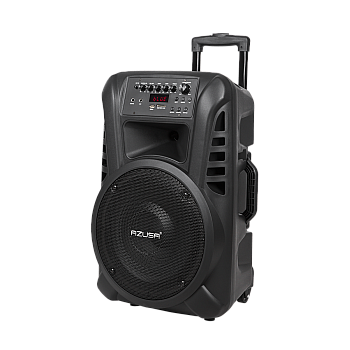 Ενεργή στήλη (με 2 ασύρματα μικρόφωνα, SD, Bluetooth, USB) 12" 40W