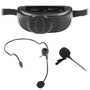 Φορητό μικρόφωνο, ηχοσύστημα