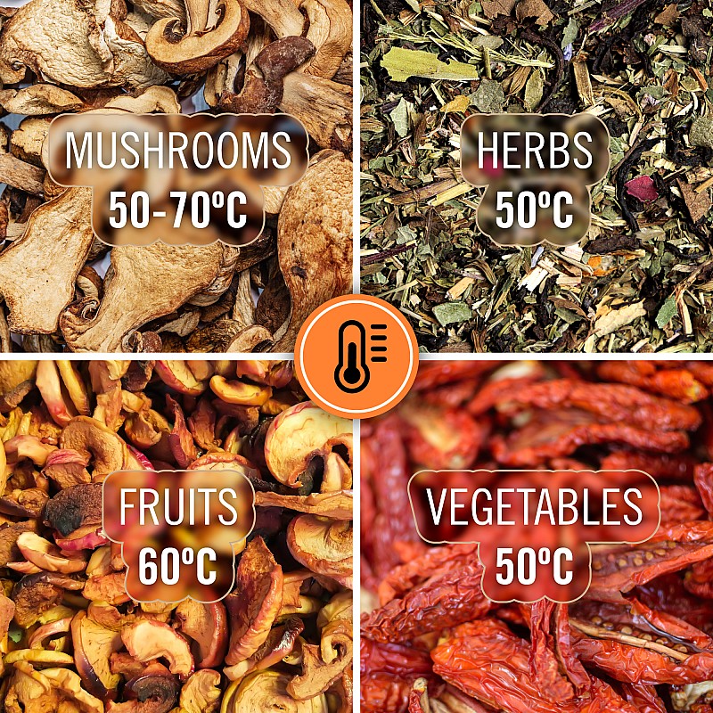 Στεγνωτήριο μανιταριών, λαχανικών και φρούτων