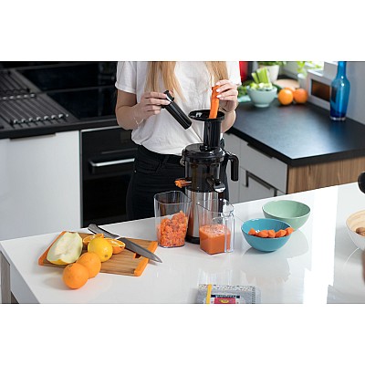 Αργός αποχυμωτής για λαχανικά και φρούτα