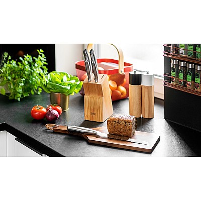 Ένα σετ μαχαίρια κουζίνας σε ένα μπλοκ