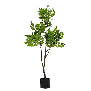 REAL TOUCH ΦΥΤΟ ΑΚΑΚΙΑ 120ΕΚ ΣΕ ΠΛΑΣΤΙΚΗ ΓΛΑΣΤΡΑ Φ15x12.5ΕΚ